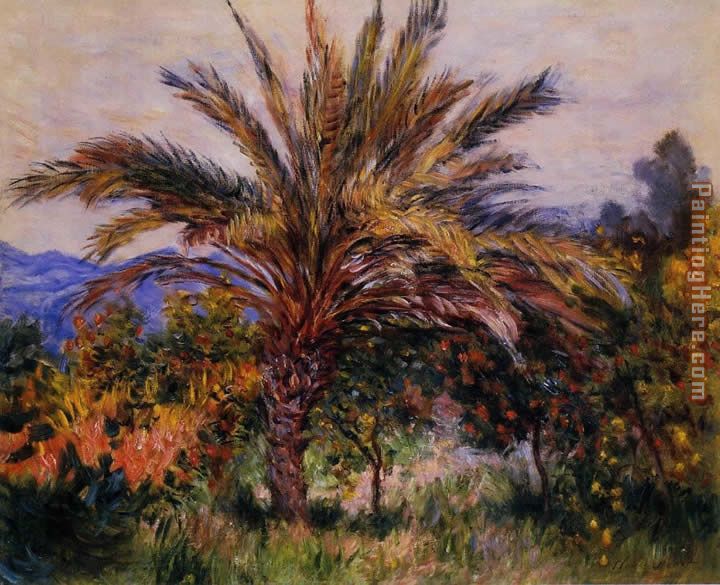A Palm Tree at Bordighera painting - Claude Monet A Palm Tree at Bordighera art painting